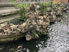 -普陀山风景名胜区-法雨禅寺
