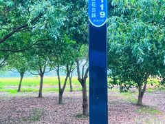 -莲花岛景区