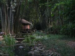 -望江楼公园