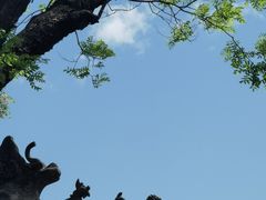 -保定直隶总督署博物馆