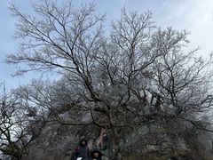 -武当山风景区