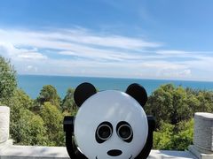 -广东惠东海龟国家级自然保护区