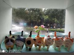 -萌兽医馆·宠物医院·猫骨科(创景店)