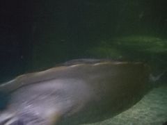 -多彩贵州城极地海洋世界