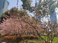 -陆家嘴中心绿地