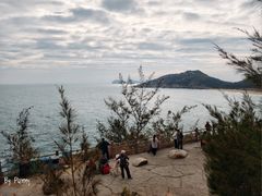 -广东惠东海龟国家级自然保护区