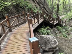 -大岭沟猕猴桃谷风景区