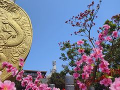 -东莞观音山旅游风景区
