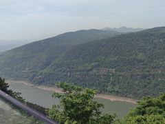 -铁山坪森林公园