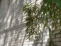-zarah(鼓楼店)