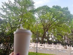 -菩提树下茶咖鼓捣
