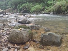 -广州市石门国家森林公园