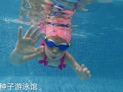 -楠木种子游泳馆(李沧万达店)