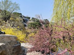 -北京西山国家森林公园