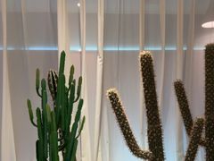 -悦海·家宴·冰花皮皮虾大锅贴(宝龙店)
