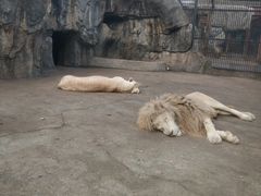 -南昌动物园