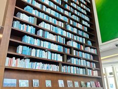 -深圳湾木棉花酒店