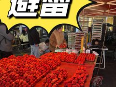 -托乐嘉美食广场(托乐嘉街区店)