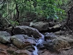 -火炉山森林公园