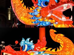 -美的鹭湖森林度假区