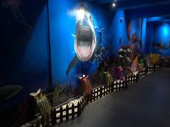 -船奇蒸汽海鲜·闽菜(八市海鲜总店)