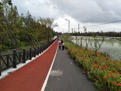 -上海长兴岛郊野公园