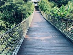 -铁山坪森林公园