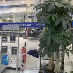 -蕾特恩专业祛痘国际连锁