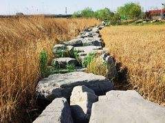 -绿堤公园