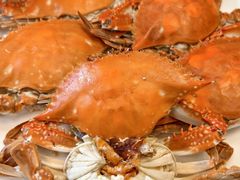 -金沙滩海鲜餐厅·海肠捞饭·手工水饺(梅江龙水园店)