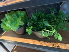 -东椰·海南椰子鸡火锅(朝阳门店)