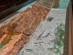 -白鹤梁水下博物馆