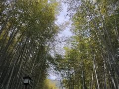 -穹窿山景区