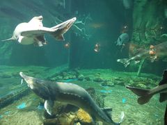 -华夏文旅海洋公园