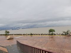 -上海滨江森林公园