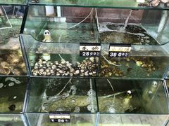 水产区-四海鲜渔家菜(黄金海岸店)