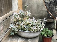 -佰仙面馆
