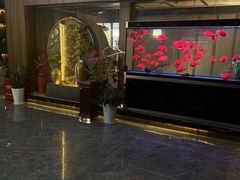 -臻享养生·SPA·影院式足道(汇臻店)