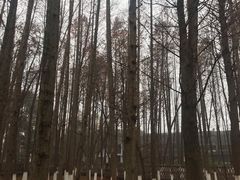 -乌镇东栅景区