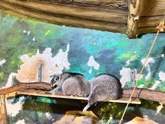 -绿色星球动物主题公园