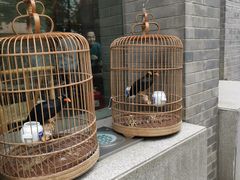 -到家尝北京菜(西坝河店)