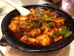 -陈麻婆豆腐总店