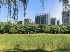 -天鹅湖体育公园