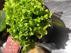 -猪掌柜韩国烤肉(六折店)