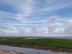 -南汇嘴观海公园