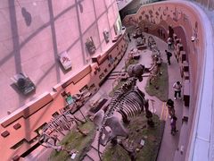 -陕西自然博物馆