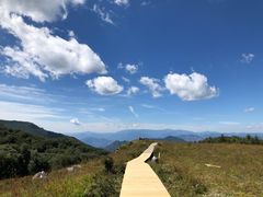 -白草畔自然风景区