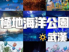 -海合安武汉极地海洋公园