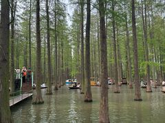 -渌洋湖湿地公园