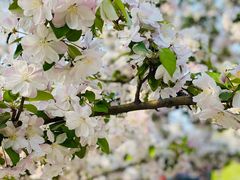 -大钟寺古钟博物馆